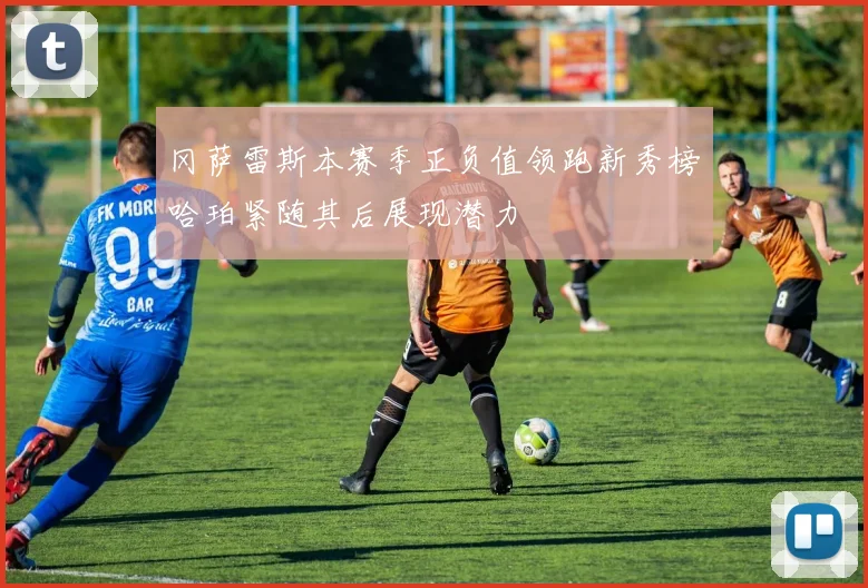 冈萨雷斯本赛季正负值领跑新秀榜哈珀紧随其后展现潜力