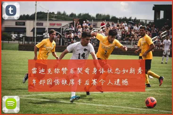 雷迪克称赞东契奇身体状态如新秀年却因伤缺席季后赛令人遗憾